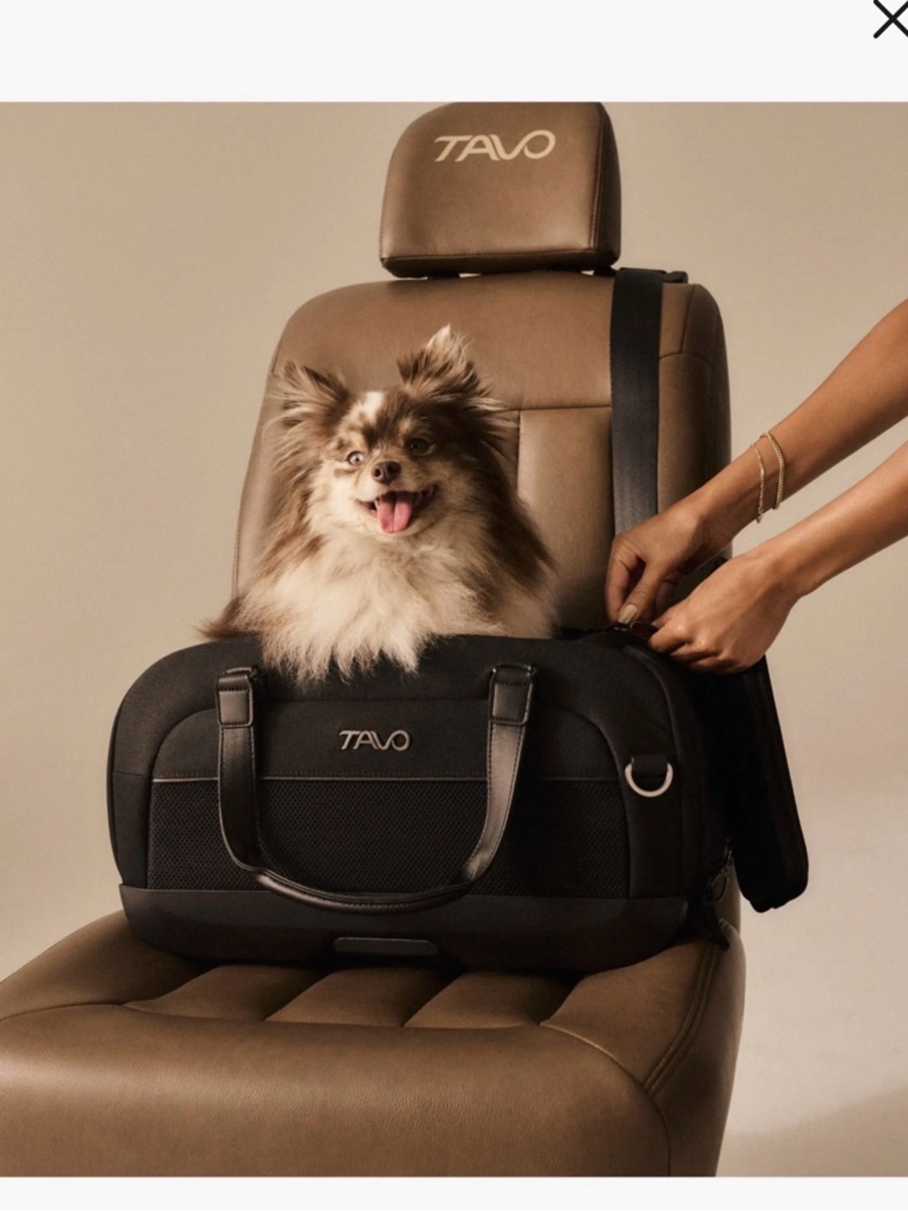Nordstrom Black TAVO Dog Carrier